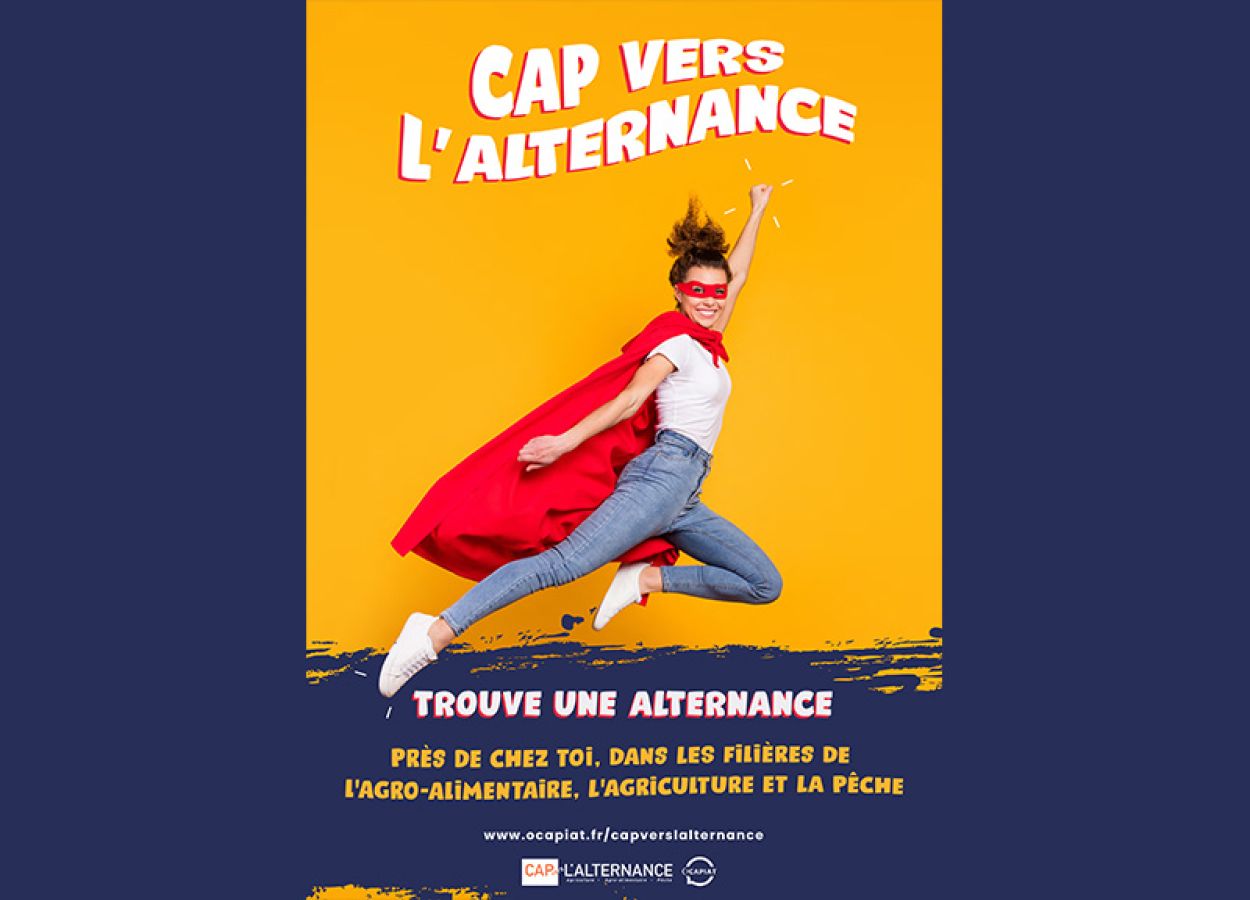 CAP vers l'alternance